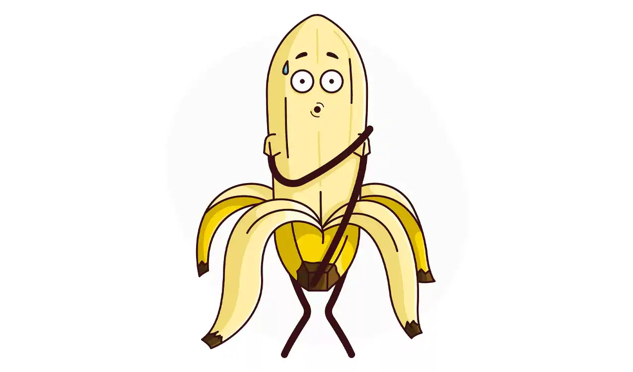 404 page 404 page voorbeeld