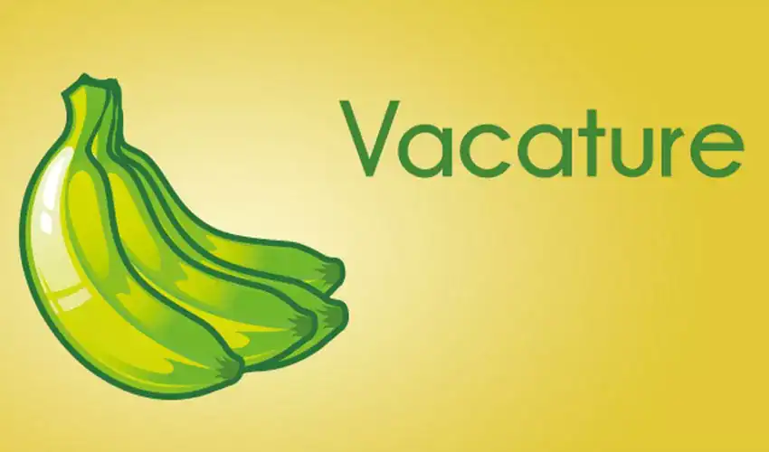 Nieuwe collega gezocht
