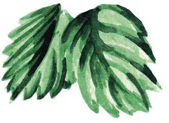 blad Blad Fraises de Guillaume