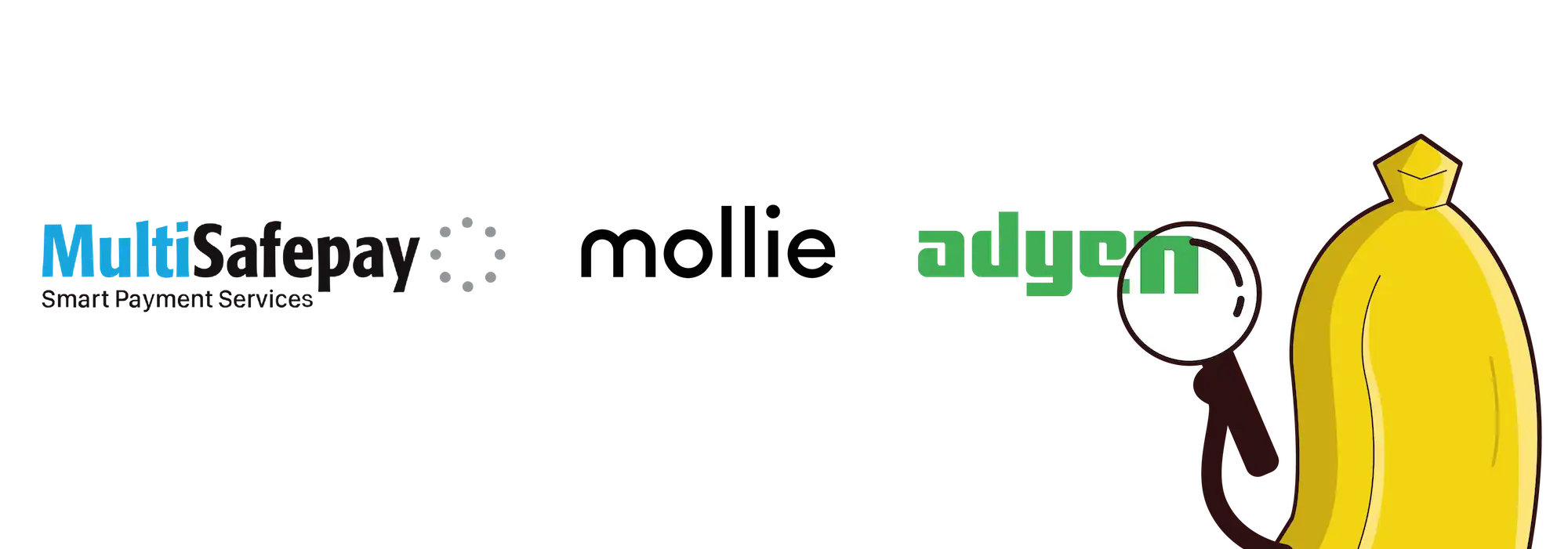 Veilig online betalen met een van deze betaalpartners? betalingen voor je webshop